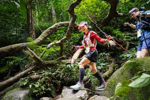 BIB: 
                            <button type="button" onclick="openModal(19407989)" class="btn btn-primary btn-sm float-right btn-popup" data-toggle="modal" data-target=".modal-high-quality">
                        <i class="fas fa-shopping-cart"></i> Add to Cart
                    </button>
                                            <button type="button" onclick="isThisMe(19407989, true)" class="btn btn-success btn-sm float-right btn-popup btn-isme hidden" data-toggle="tooltip" data-placement="bottom" title="นี่คือรูปของคุณใช่ไหม คลิกที่นี่เพื่อเอาเข้าอัลบั้ม">
                        <i class="fas fa-plus"></i> Add to album
                    </button>
                    <button type="button" onclick="isThisMe(19407989, false)" class="btn btn-warning btn-sm float-right btn-popup btn-isnotme hidden">
                        <i class="fas fa-ban"></i> Remove from album
                    </button>